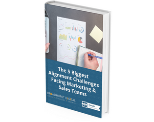 5 Biggest Alignment Challenges sales and marketing Mock Up (315 × 300px) (315 × 250px)